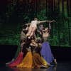 WOK_6880