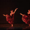 DSC_5953 copia