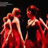 DSC_6079-wd